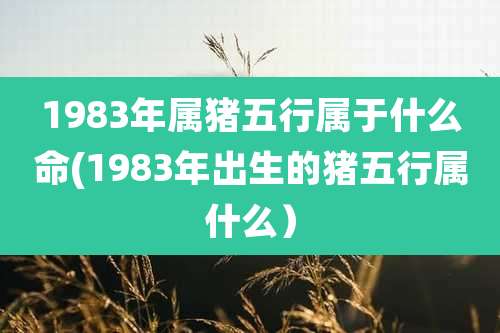 1983年属猪五行属于什么命(1983年出生的猪五行属什么）