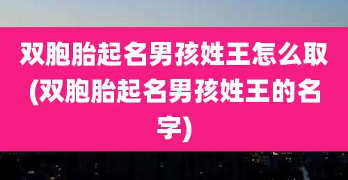 双胞胎起名男孩姓王怎么取(双胞胎起名男孩姓王的名字)