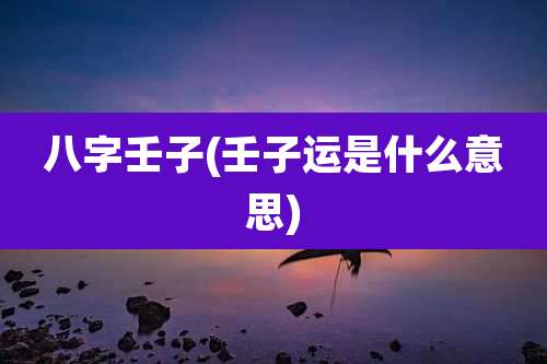 八字壬子(壬子运是什么意思)