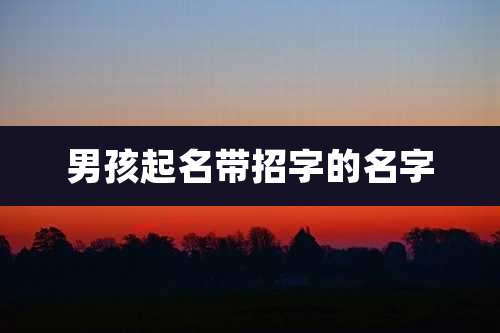 男孩起名带招字的名字