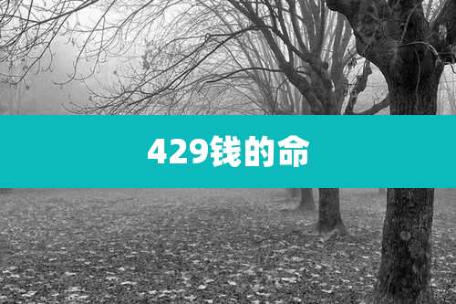 429钱的命