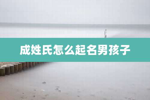 成姓氏怎么起名男孩子