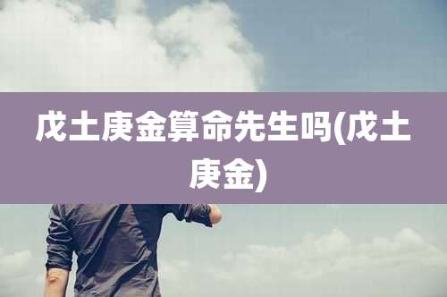 戊土庚金算命先生吗(戊土 庚金)