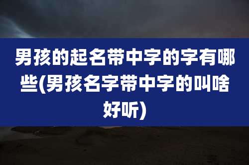 男孩的起名带中字的字有哪些(男孩名字带中字的叫啥好听)