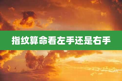 指纹算命看左手还是右手