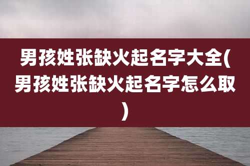 男孩姓张缺火起名字大全(男孩姓张缺火起名字怎么取)