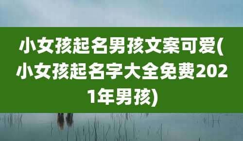 小女孩起名男孩文案可爱(小女孩起名字大全免费2021年男孩)