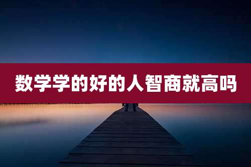 数学学的好的人智商就高吗