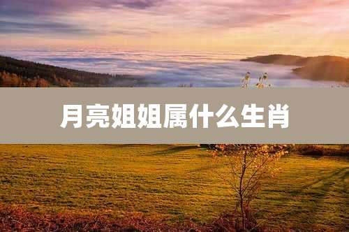 月亮姐姐属什么生肖