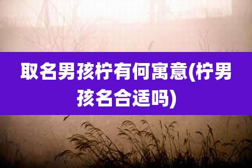 取名男孩柠有何寓意(柠男孩名合适吗)