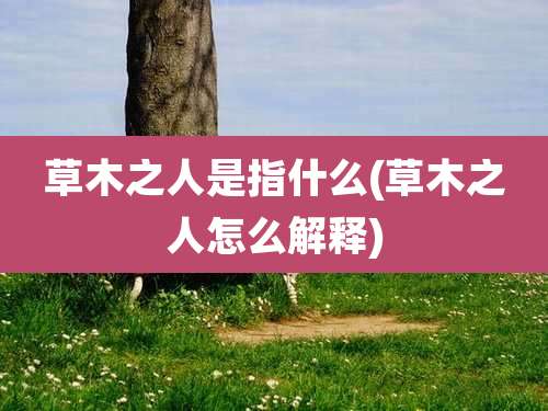 草木之人是指什么(草木之人怎么解释)
