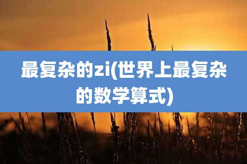 最复杂的zi(世界上最复杂的数学算式)