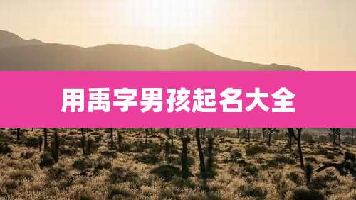 用禹字男孩起名大全