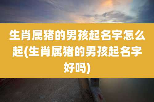 生肖属猪的男孩起名字怎么起(生肖属猪的男孩起名字好吗)