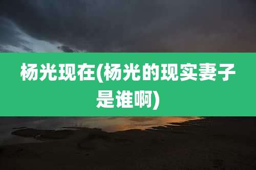 杨光现在(杨光的现实妻子是谁啊)