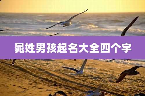 晁姓男孩起名大全四个字