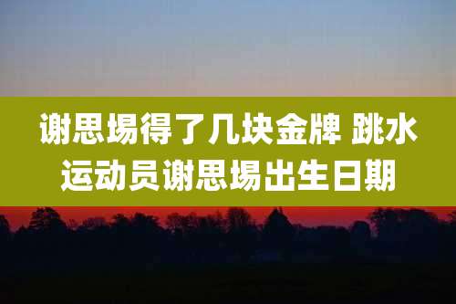 谢思埸得了几块金牌 跳水运动员谢思埸出生日期