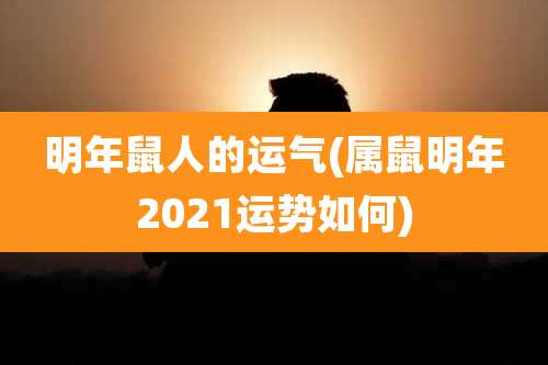 明年鼠人的运气(属鼠明年2021运势如何)