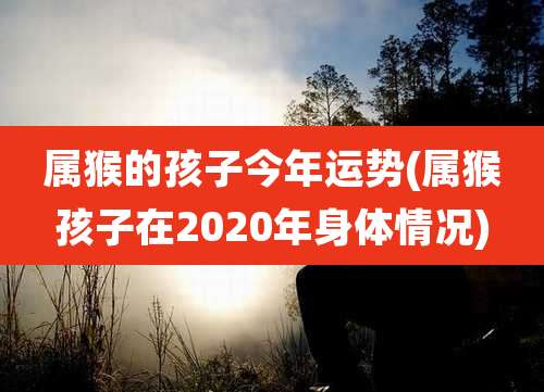 属猴的孩子今年运势(属猴孩子在2020年身体情况)