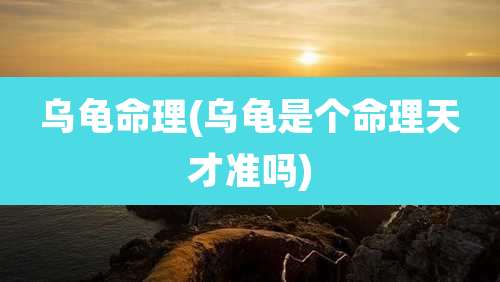 乌龟命理(乌龟是个命理天才准吗)