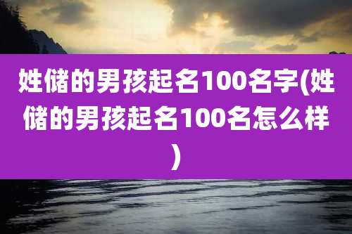 姓储的男孩起名100名字(姓储的男孩起名100名怎么样)
