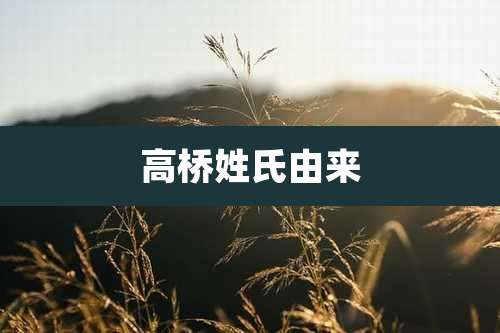 高桥姓氏由来