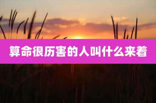 算命很历害的人叫什么来着