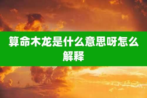 算命木龙是什么意思呀怎么解释