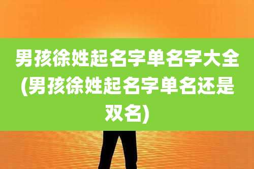男孩徐姓起名字单名字大全(男孩徐姓起名字单名还是双名)