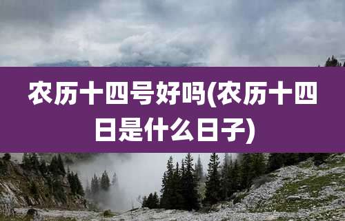 农历十四号好吗(农历十四日是什么日子)