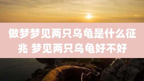 做梦梦见两只乌龟是什么征兆 梦见两只乌龟好不好