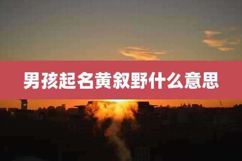 男孩起名黄叙野什么意思