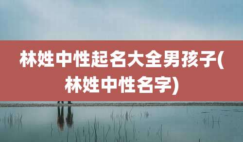 林姓中性起名大全男孩子(林姓中性名字)