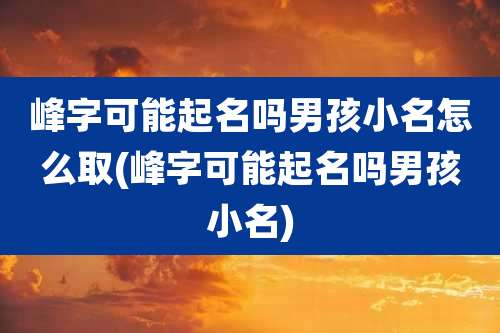 峰字可能起名吗男孩小名怎么取(峰字可能起名吗男孩小名)