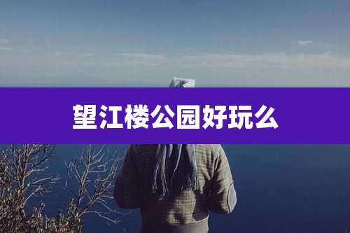 望江楼公园好玩么