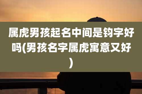 属虎男孩起名中间是钧字好吗(男孩名字属虎寓意又好)
