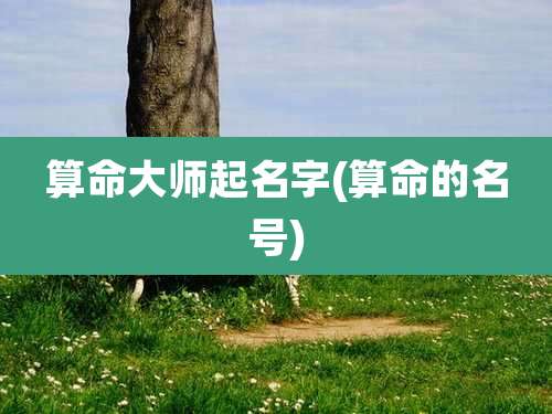 算命大师起名字(算命的名号)