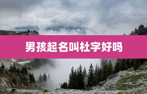 男孩起名叫杜字好吗