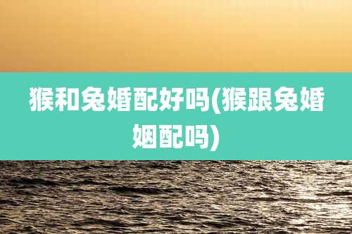 猴和兔婚配好吗(猴跟兔婚姻配吗)