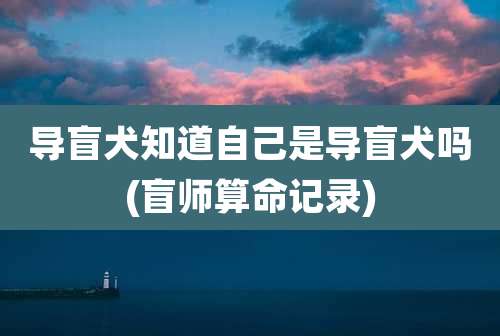 导盲犬知道自己是导盲犬吗(盲师算命记录)