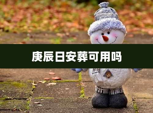 庚辰日安葬可用吗