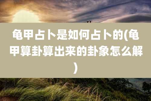龟甲占卜是如何占卜的(龟甲算卦算出来的卦象怎么解)