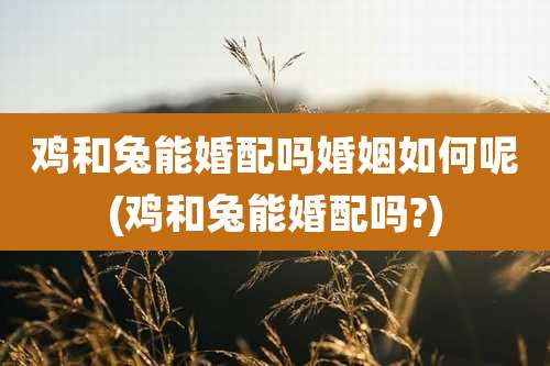 鸡和兔能婚配吗婚姻如何呢(鸡和兔能婚配吗?)