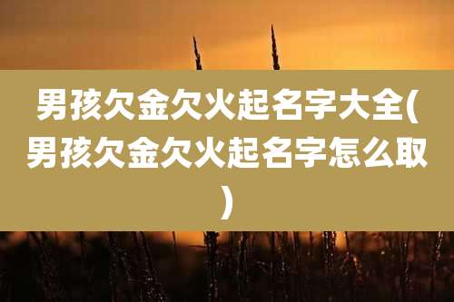男孩欠金欠火起名字大全(男孩欠金欠火起名字怎么取)
