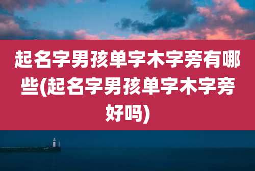 起名字男孩单字木字旁有哪些(起名字男孩单字木字旁好吗)