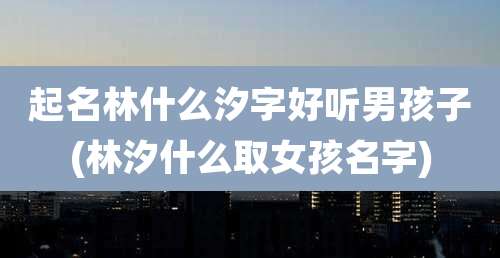 起名林什么汐字好听男孩子(林汐什么取女孩名字)