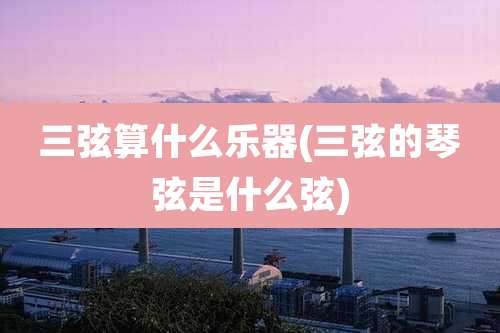 三弦算什么乐器(三弦的琴弦是什么弦)