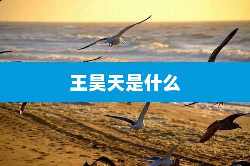王昊天是什么