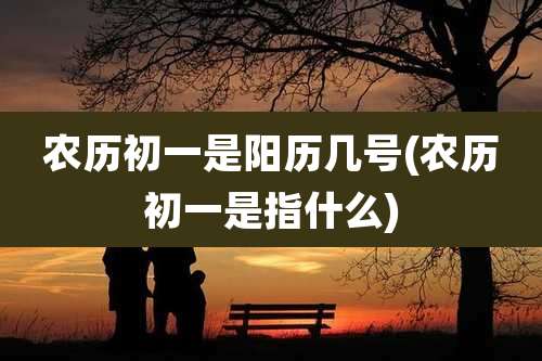 农历初一是阳历几号(农历初一是指什么)