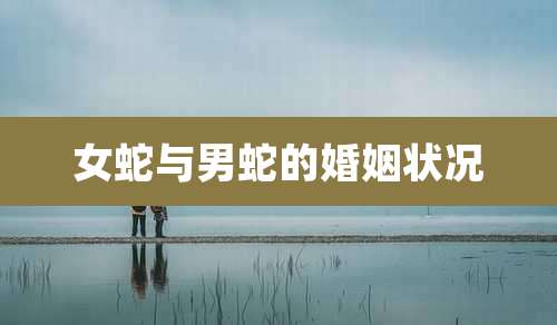 女蛇与男蛇的婚姻状况